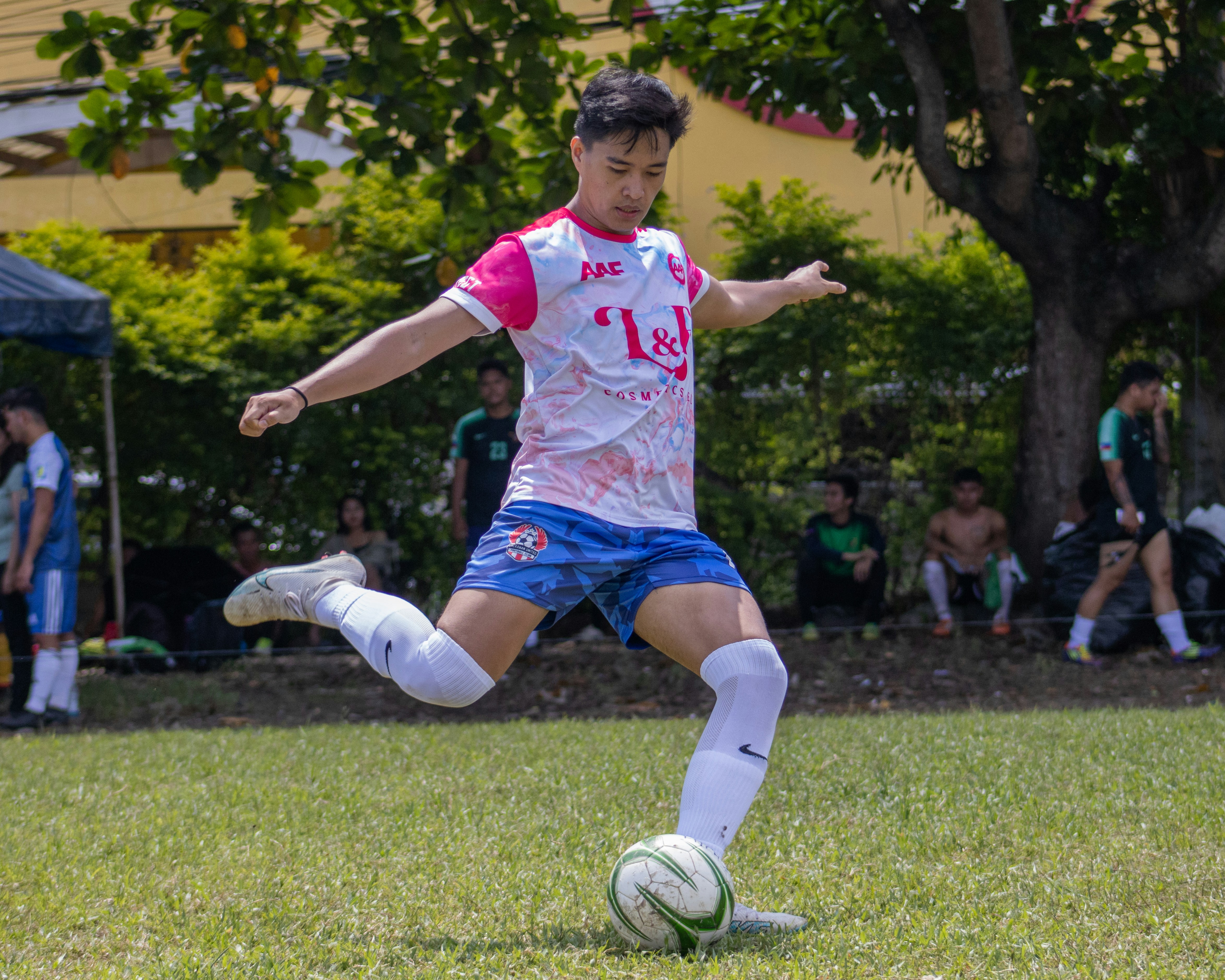 开云体育最新入口 | 防封锁技术 - 永久可用